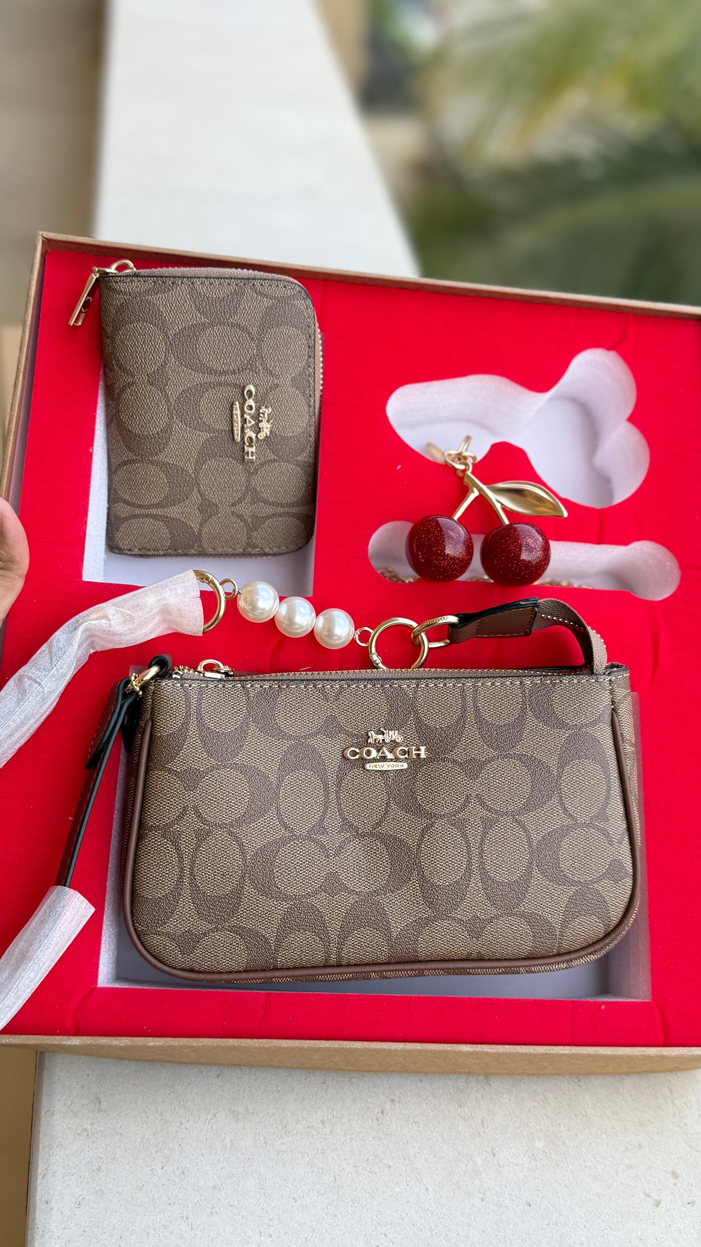 Coach Nolita 19 All inclusive Box Set-Master Series