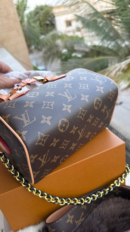 Louis Vuitton Speedy Nano-AAA Series-double Folding box