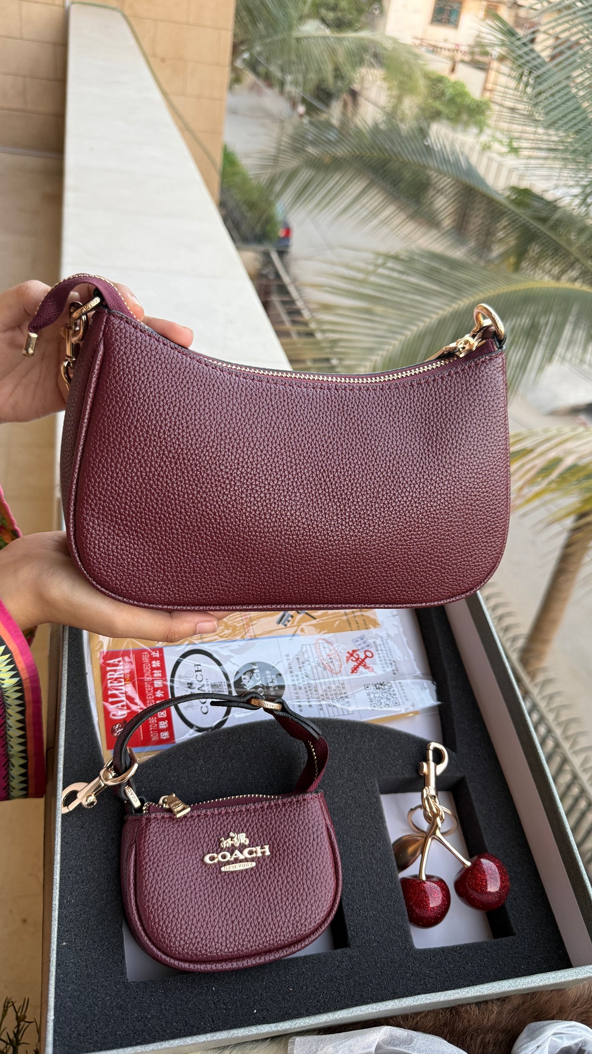 Coach Teri Hobo Complete Set With Box,Micro Bag & Cherry Charm-Master Plus