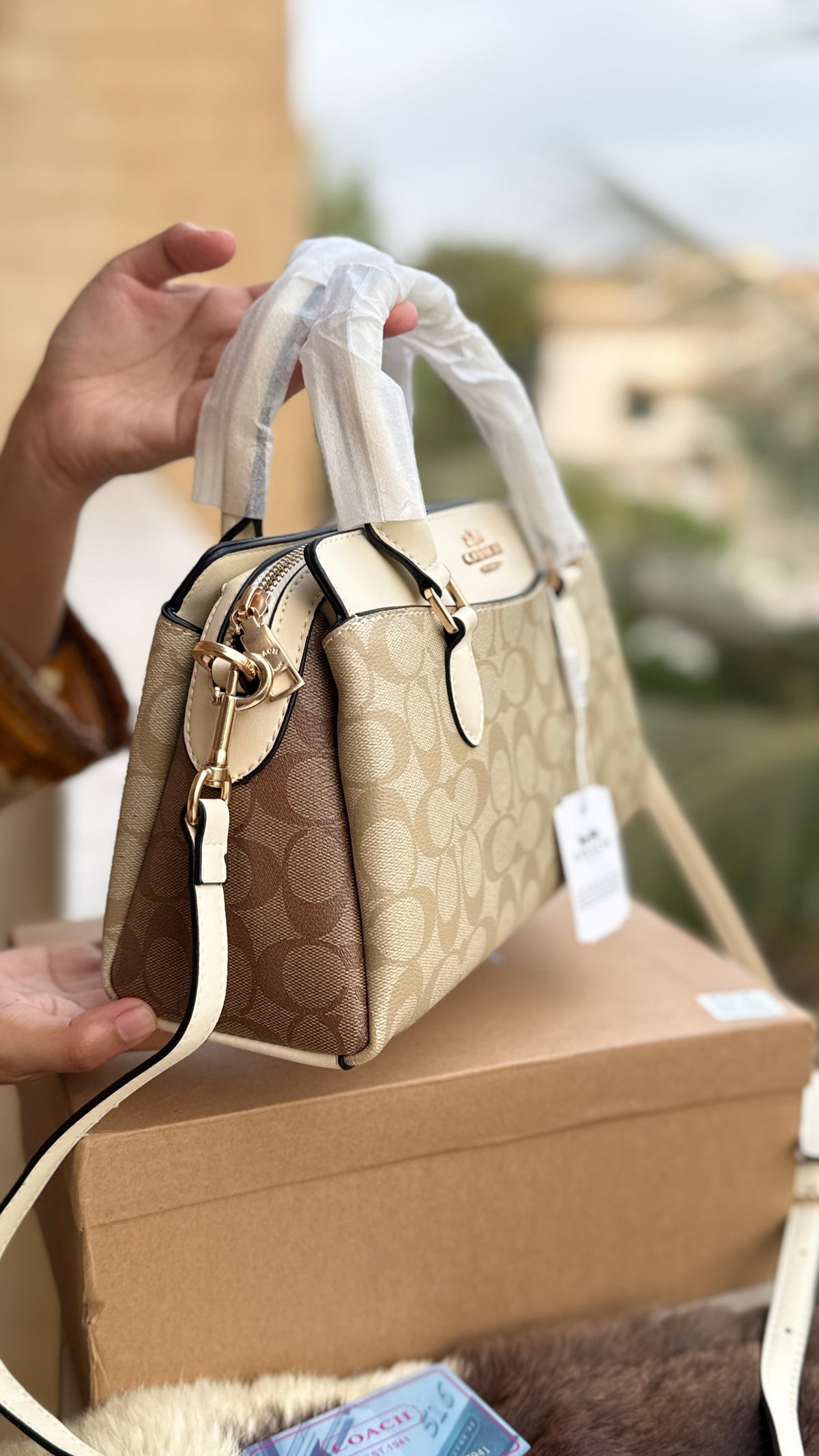Coach Darcie Caryall mini-Box Packaging-Master Series