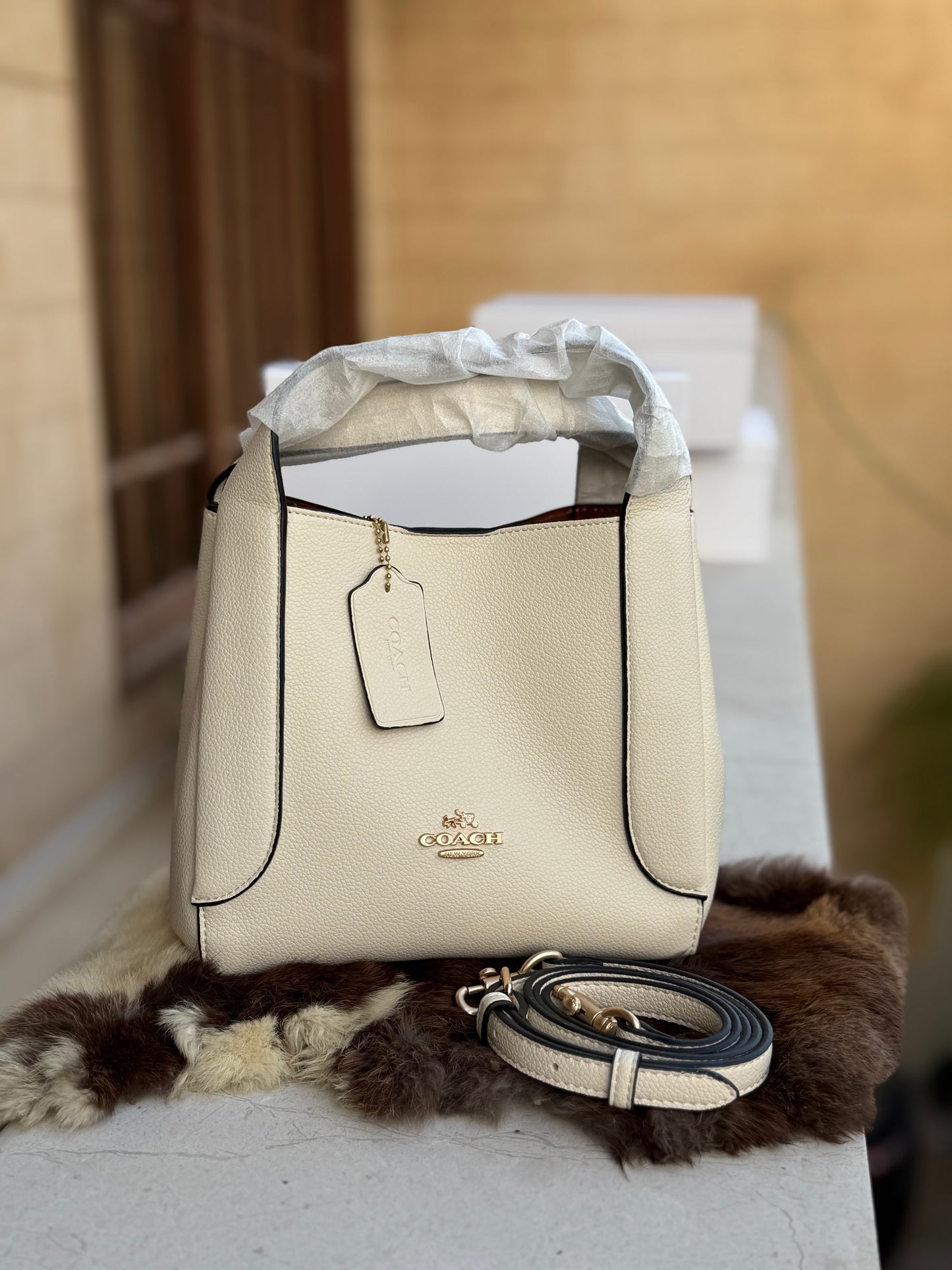 Coach Hadley 21 Hobo Bag-Master Series-Same As Original-Box Included