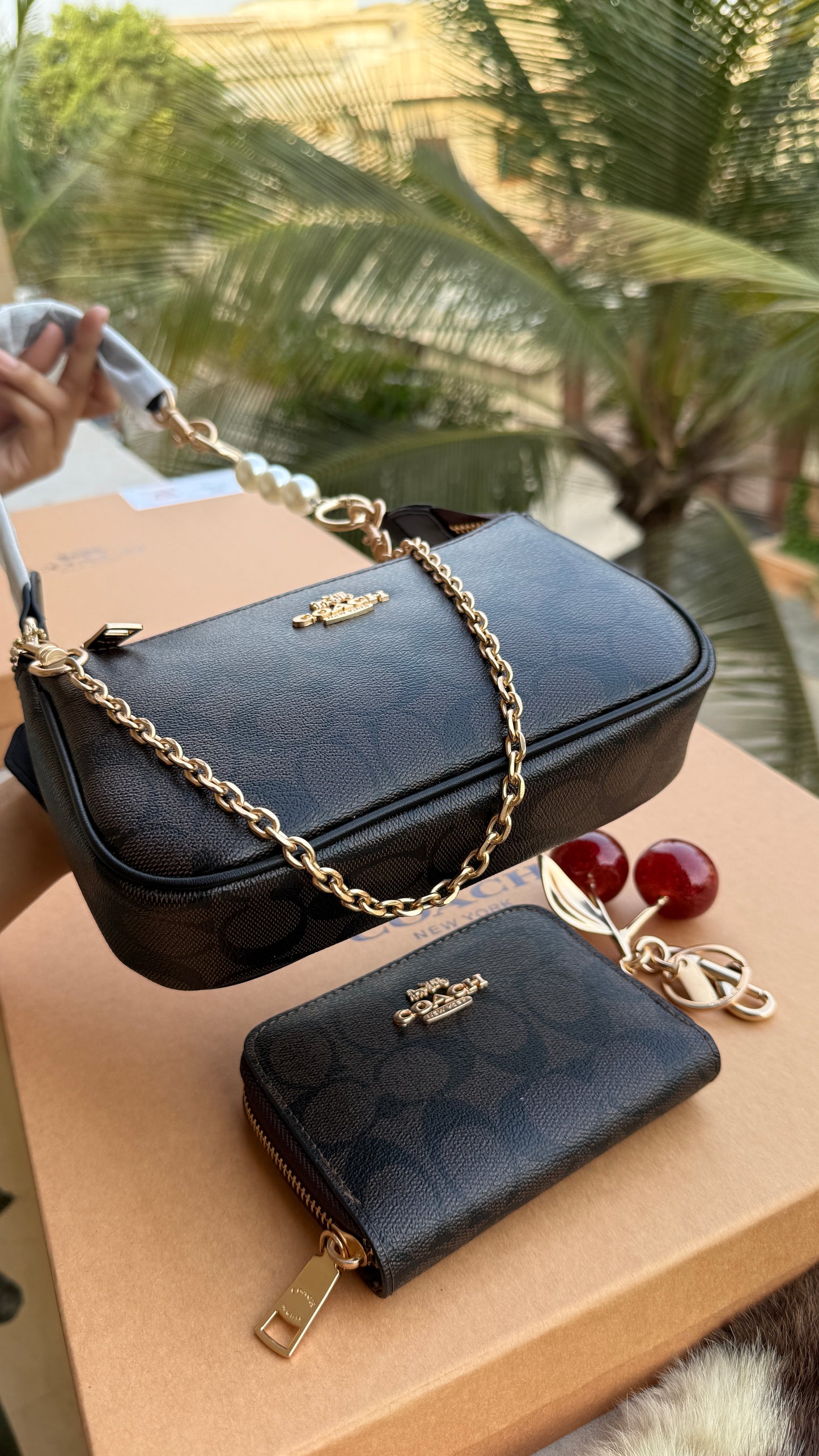 Coach Nolita 19 All inclusive Box Set-Master Series