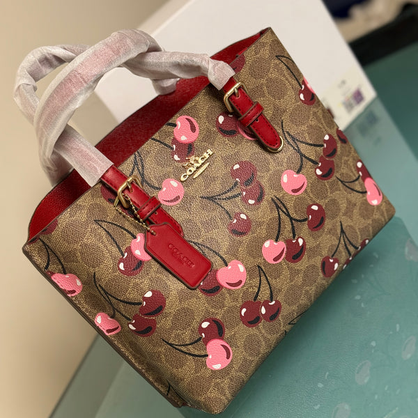 Coach Mollie 25 Tote Bag-Master Series With Box Packaging.