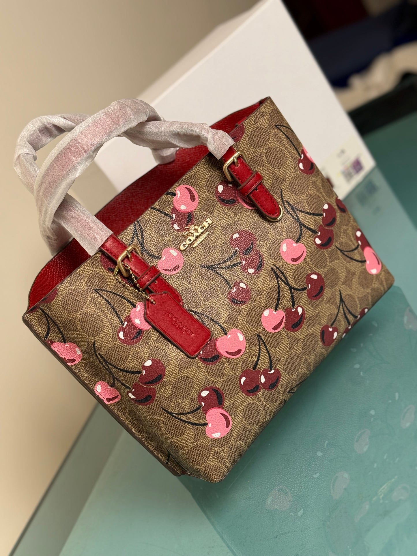 Coach Mollie 25 Tote Bag-Master Series With Box Packaging.