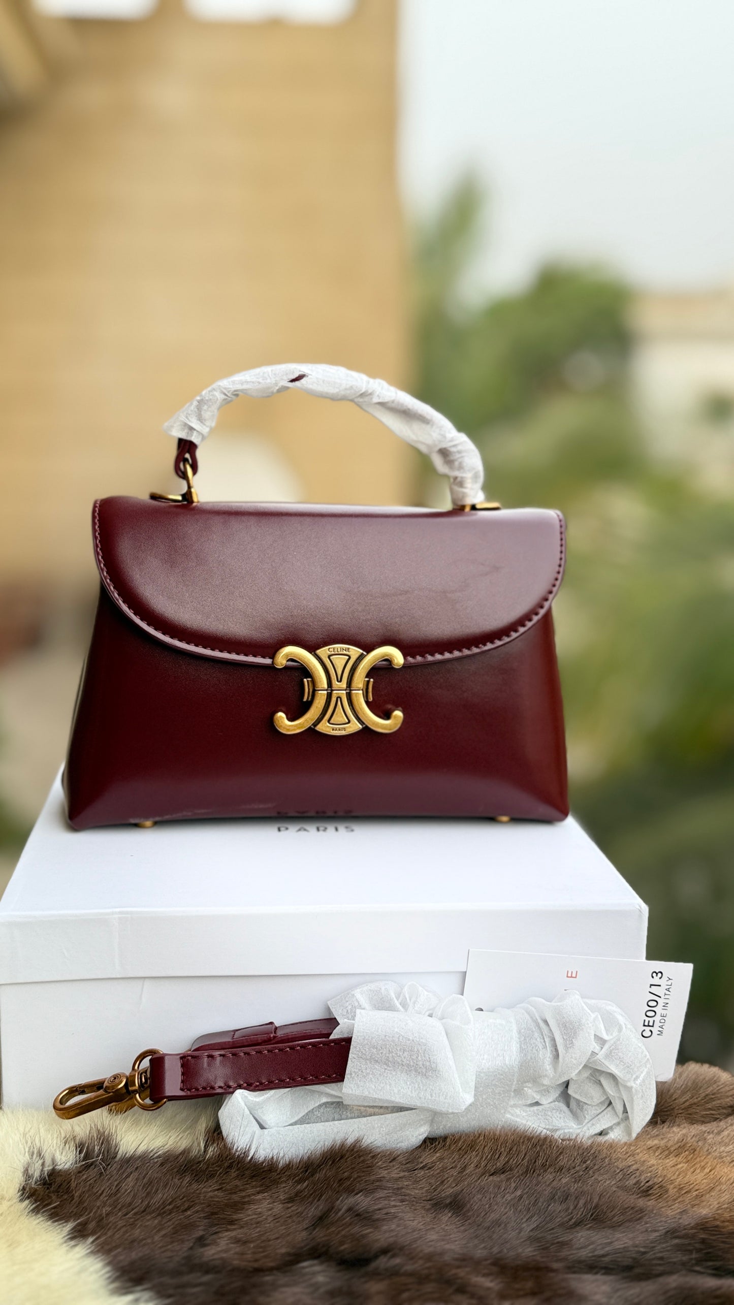 Céline Teen Nino bag-With Box-Master Series