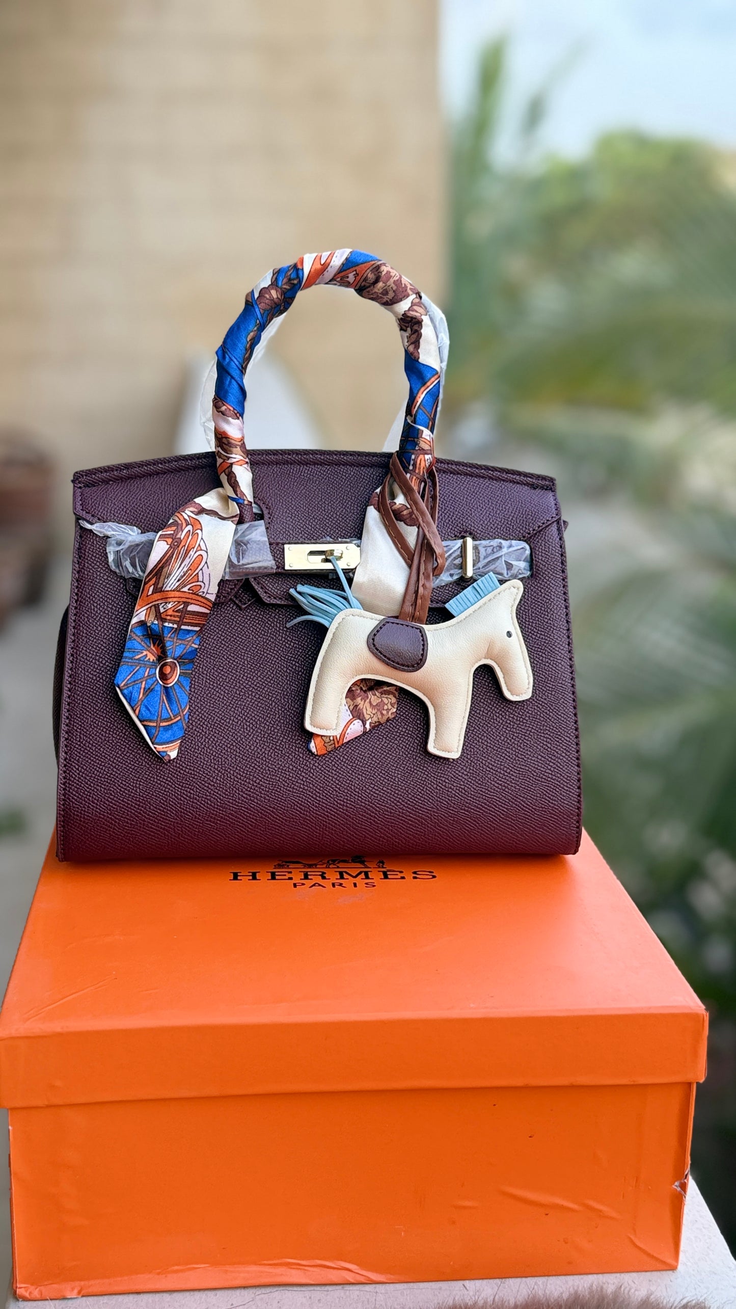 Hermes Birkin With Box Master Series.