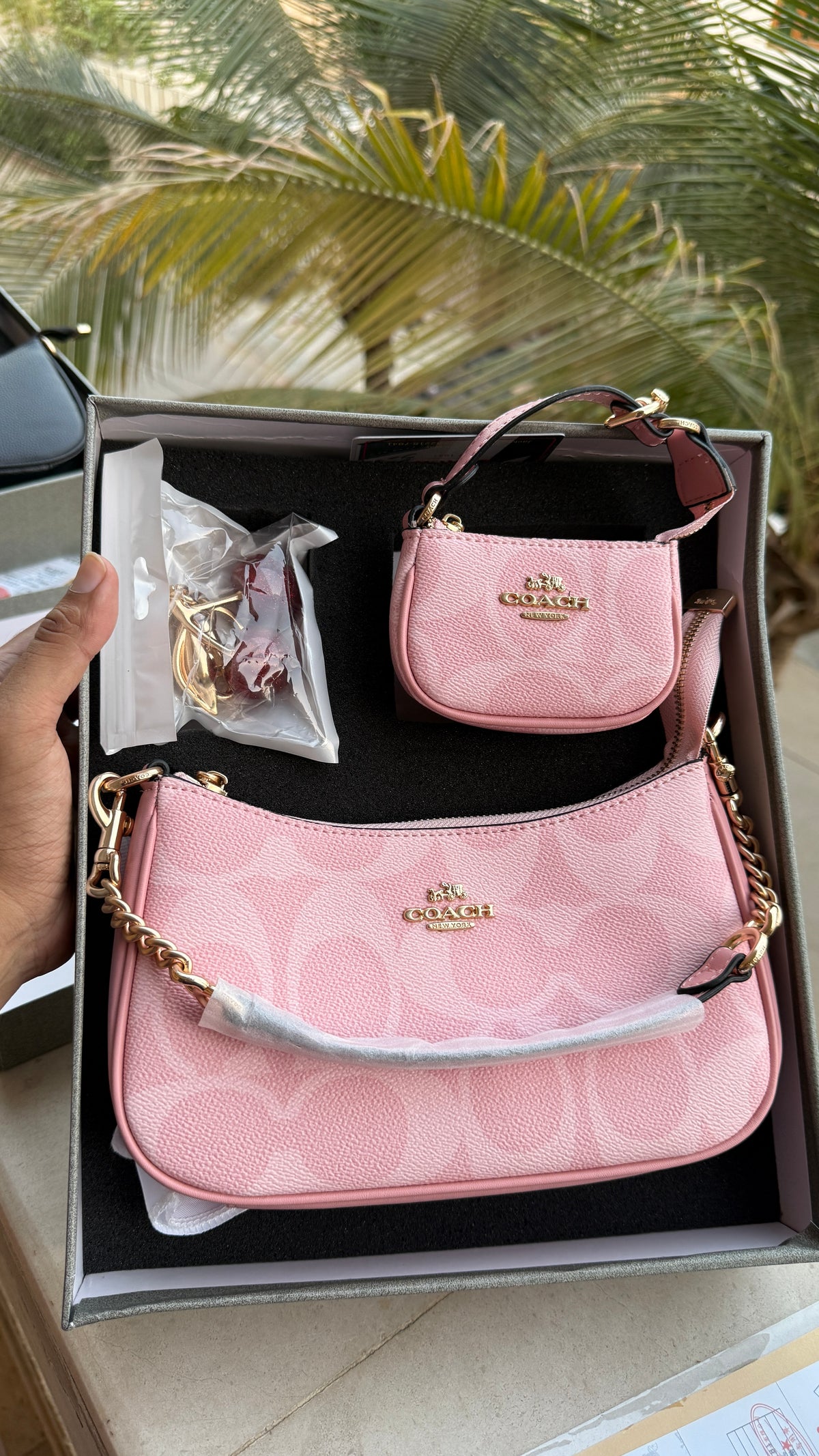 Coach Teri Hobo Complete Set With Box,Micro Bag & Cherry Charm-Master Plus