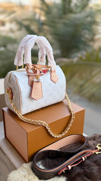 Louis Vuitton Speedy Nano-AAA Series-double Folding box