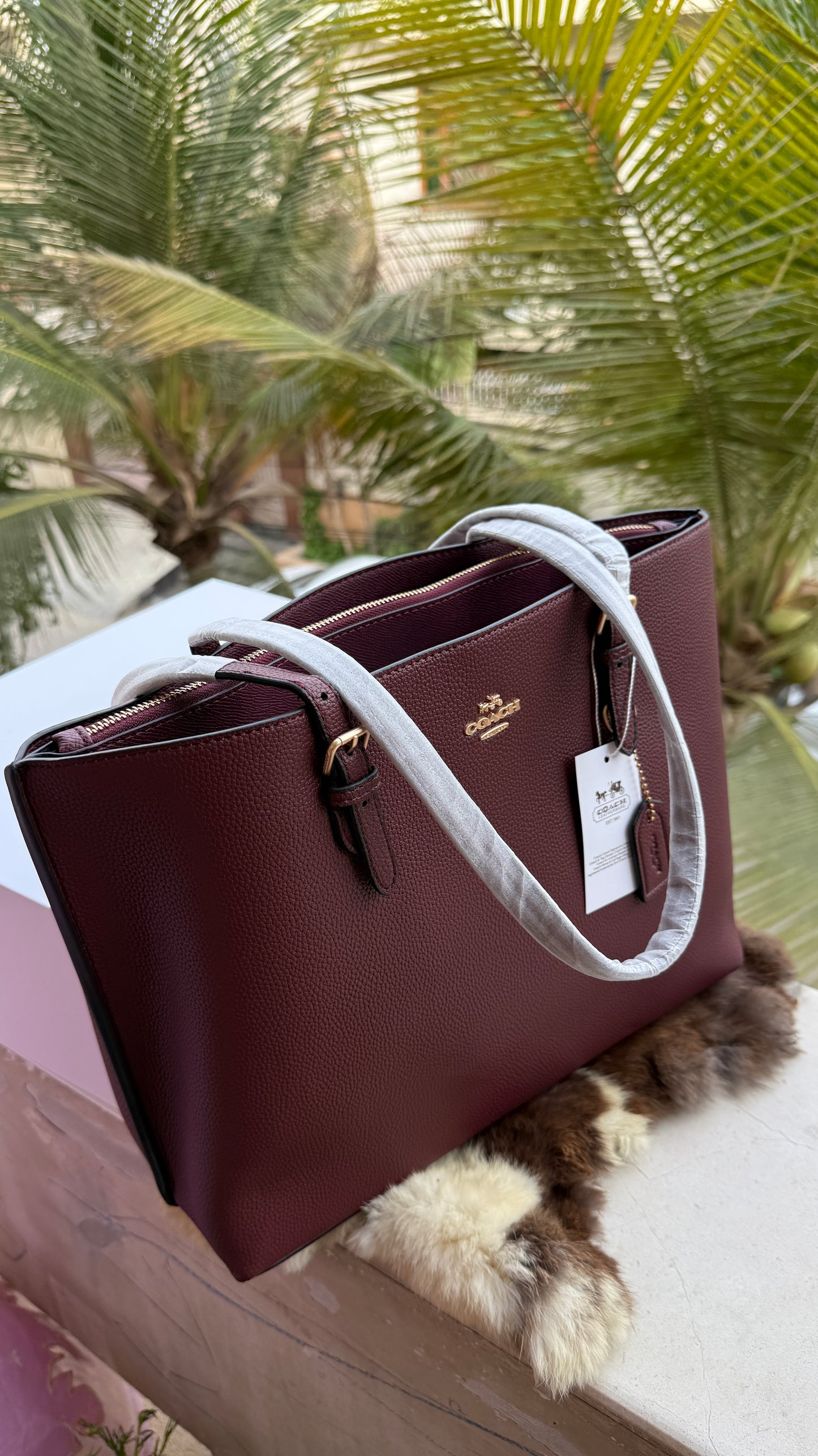 Coach Mollie Tote Large-Without Box-Master Series