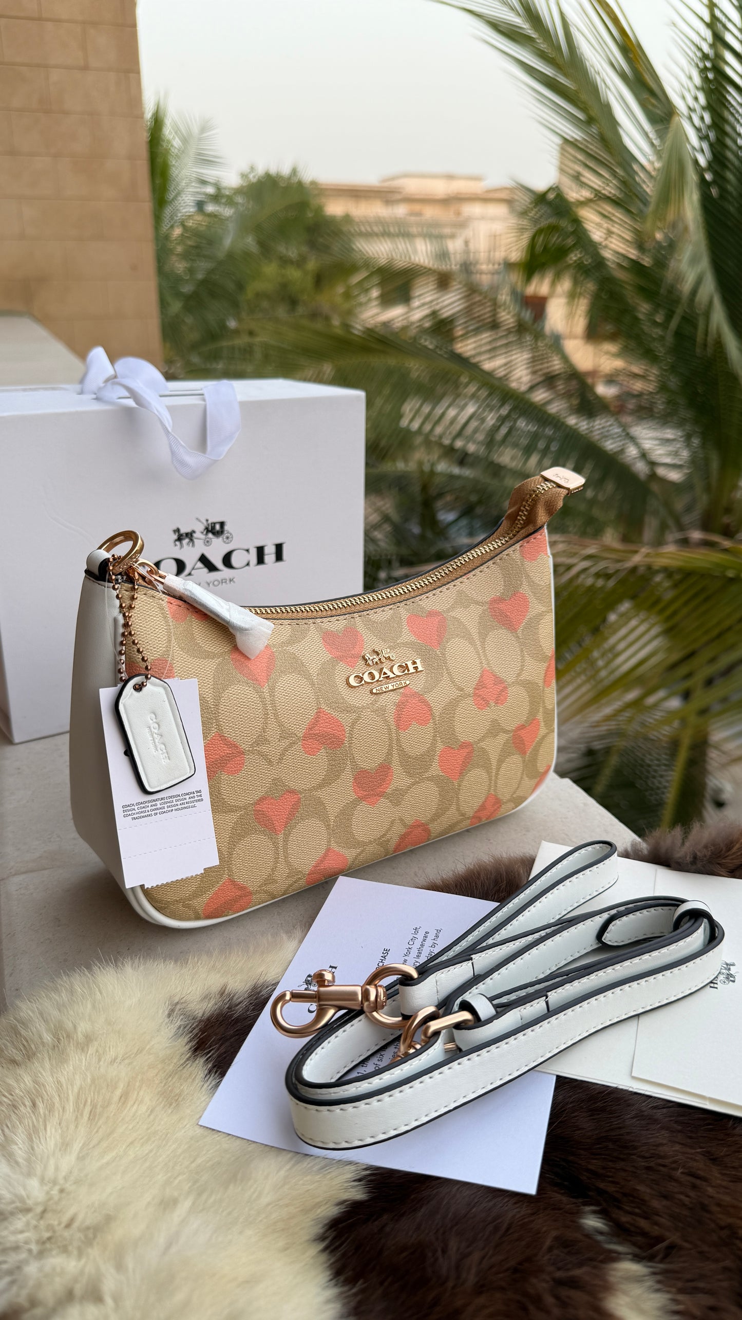 Coach Teri Hobo-Master Plus Series-folding box packaging.