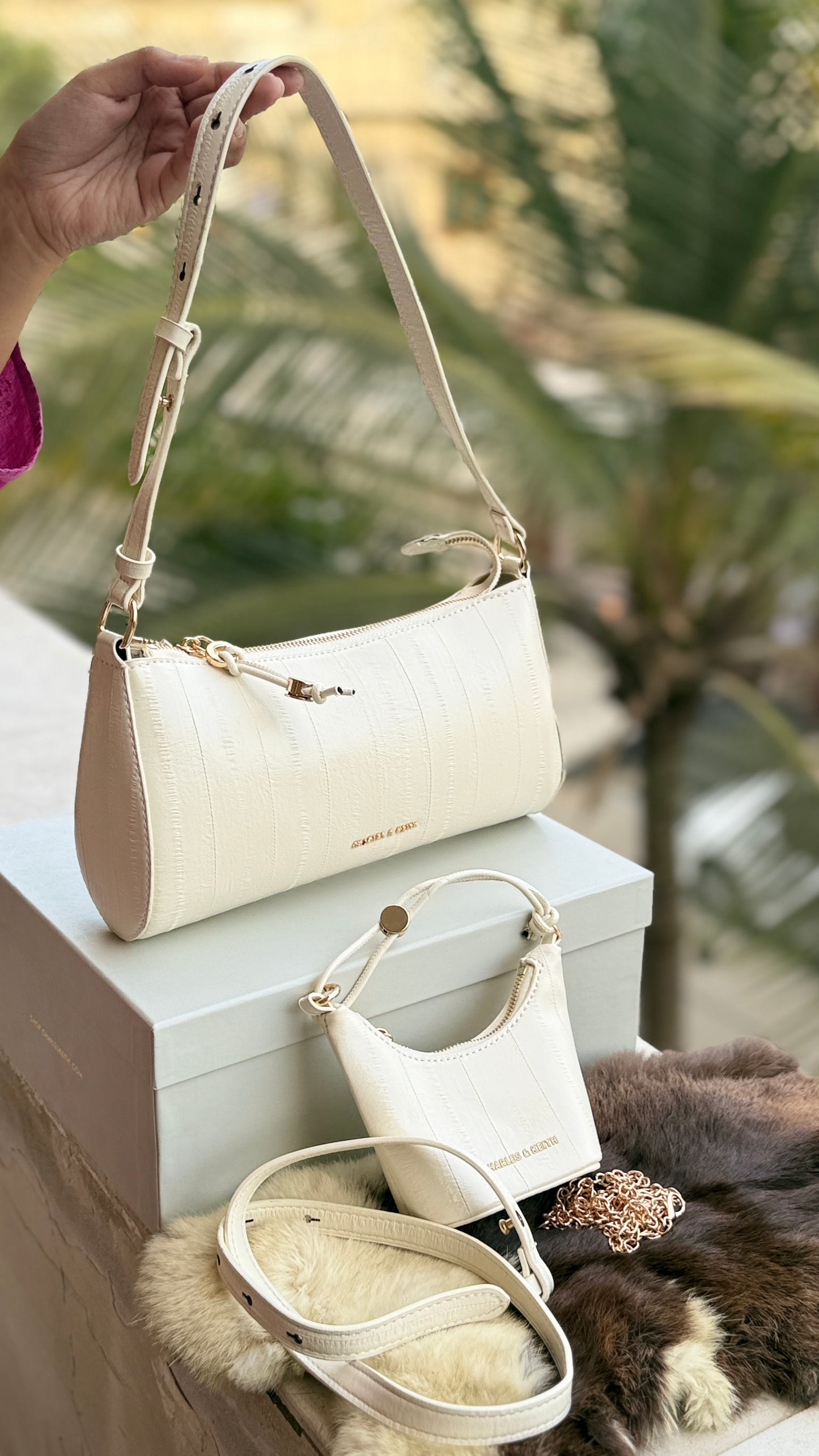 Charles & Keith Shoulder With Micro Bag-With box-Master Series.