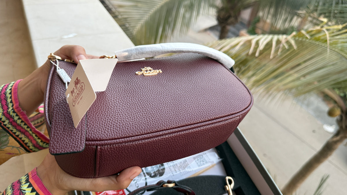 Coach Teri Hobo Complete Set With Box,Micro Bag & Cherry Charm-Master Plus