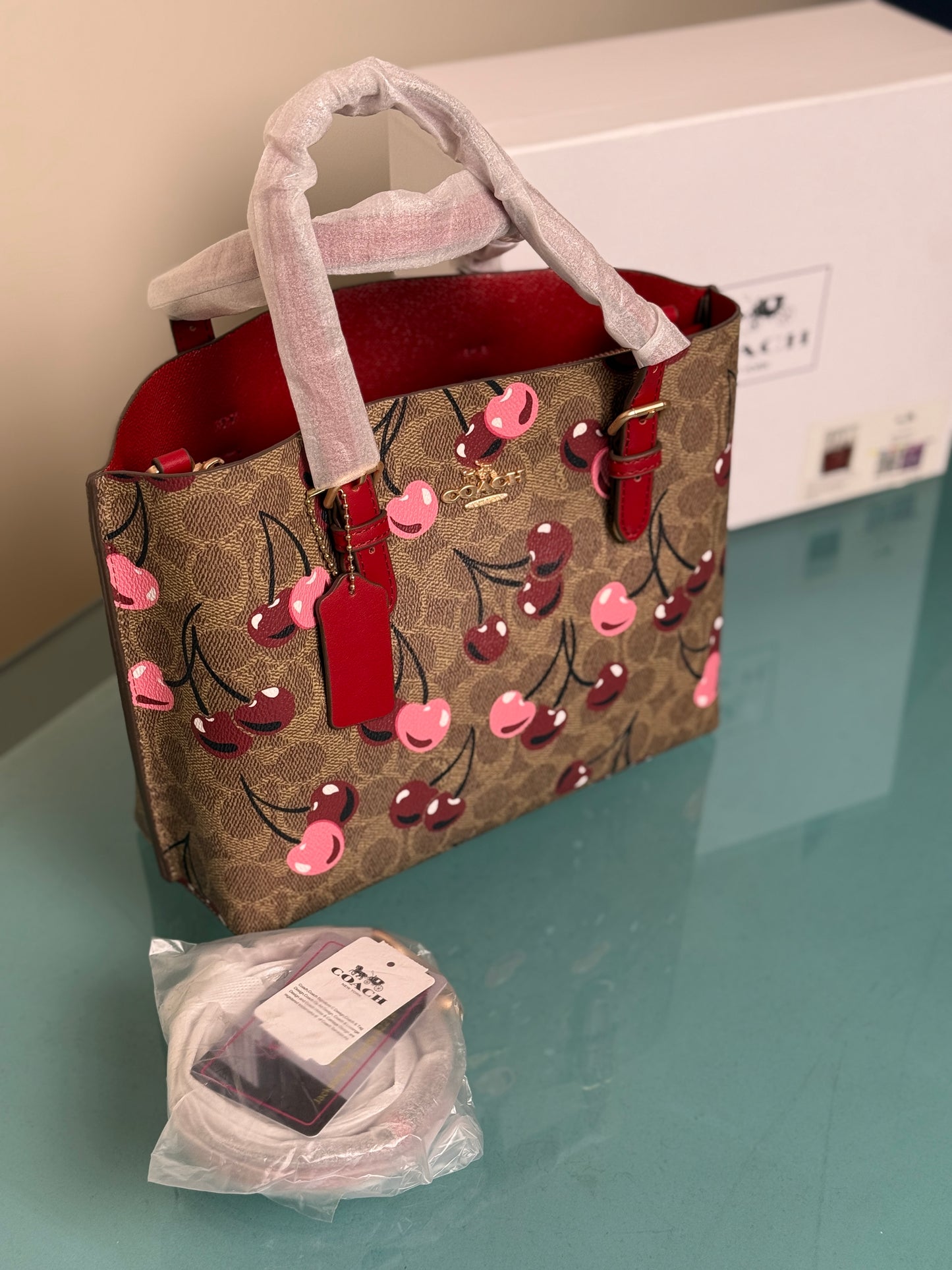 Coach Mollie 25 Tote Bag-Master Series With Box Packaging.