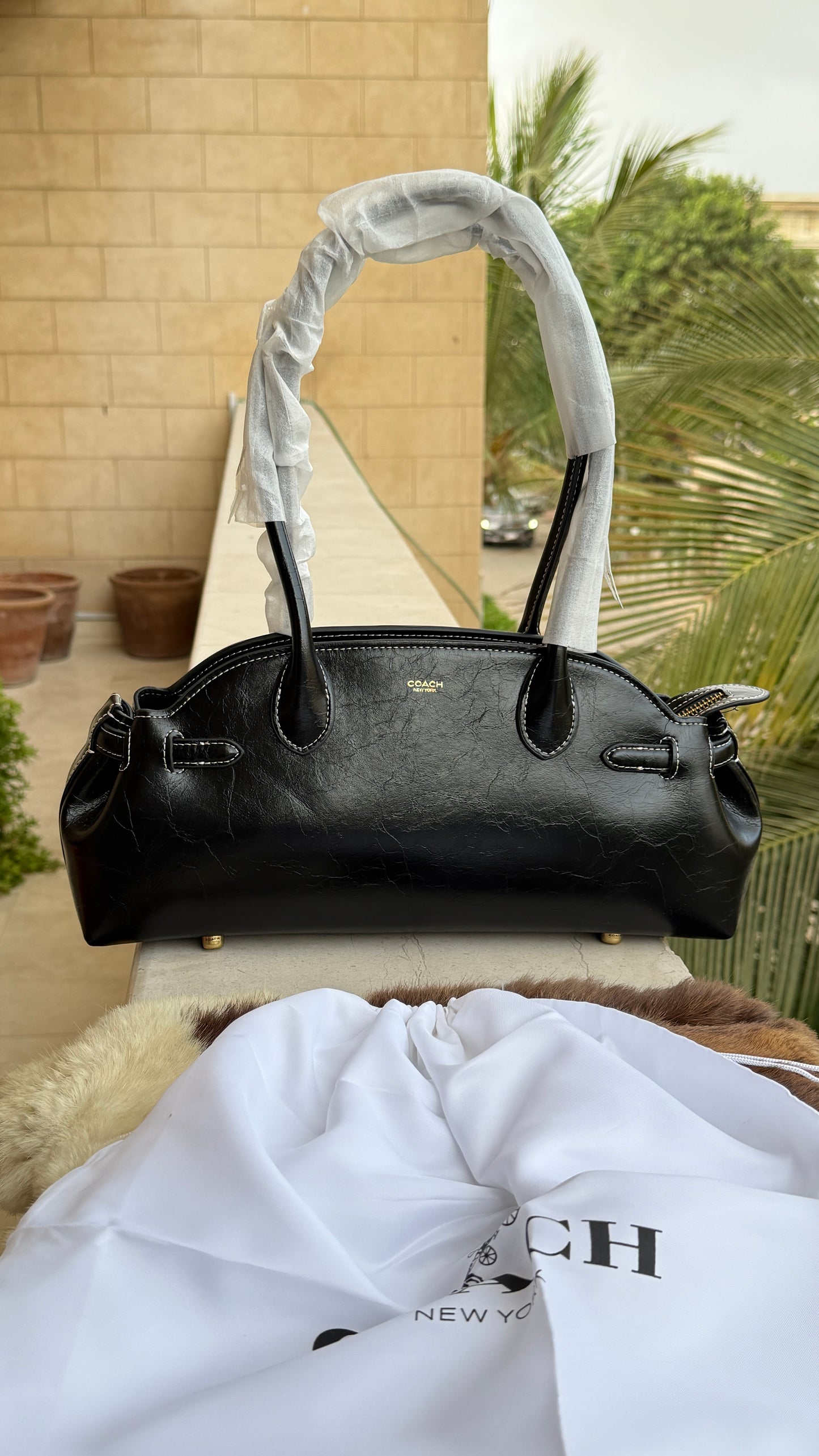 Coach Empire Carryall 34-Master Plus Series
