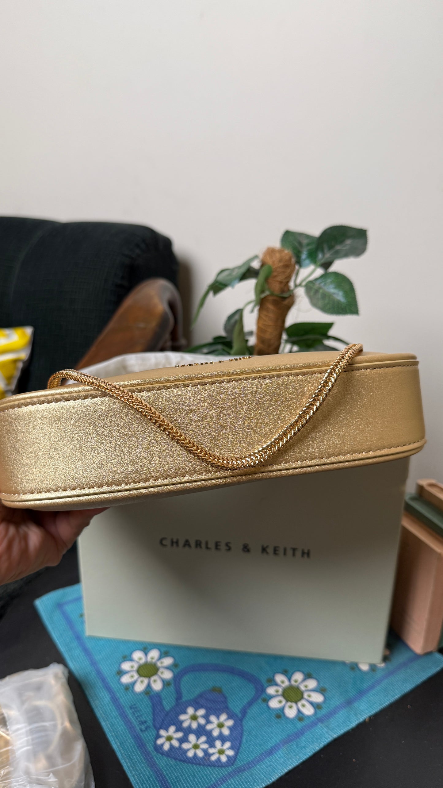 Charles & Keith Elspeth  Chain-Link Shoulder Bag.