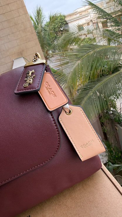 Coach Slouchy Rogue Top Handle bag-Master Plus Series.