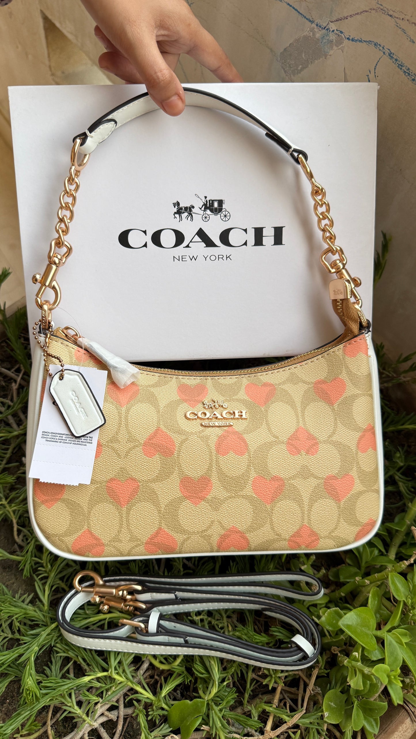 Coach Teri Hobo-Master Plus Series-folding box packaging.