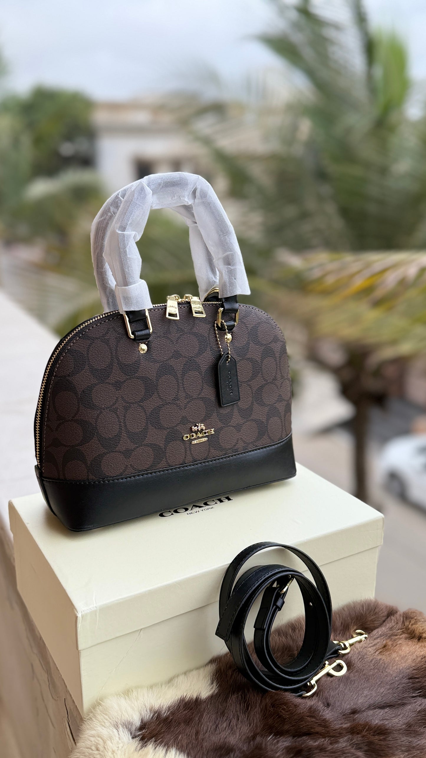 Coach Mini Sierra Satchel-With box Master Series