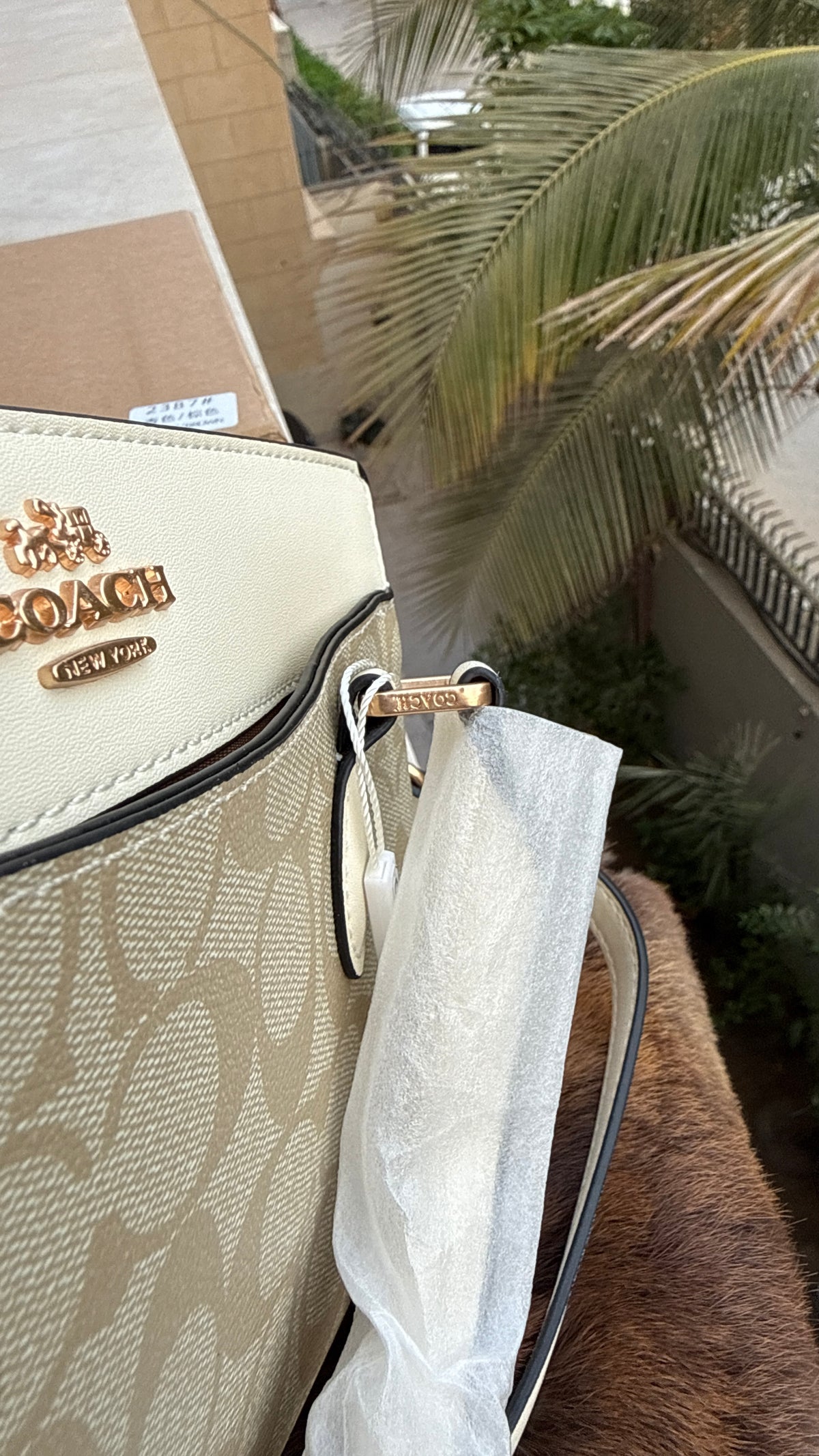 Coach Darcie Caryall mini-Box Packaging-Master Series