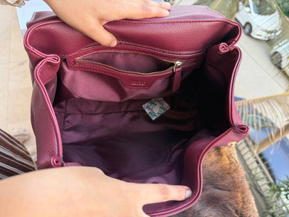 Polène Numéro Un Nano Bag-Master Plus Series-Same as original