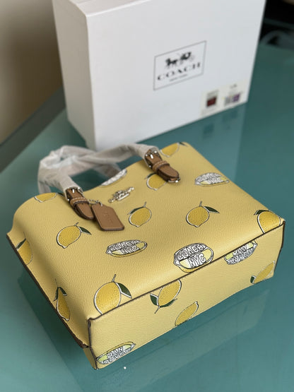 Coach Mollie 25 Tote Bag-Master Series With Box Packaging.
