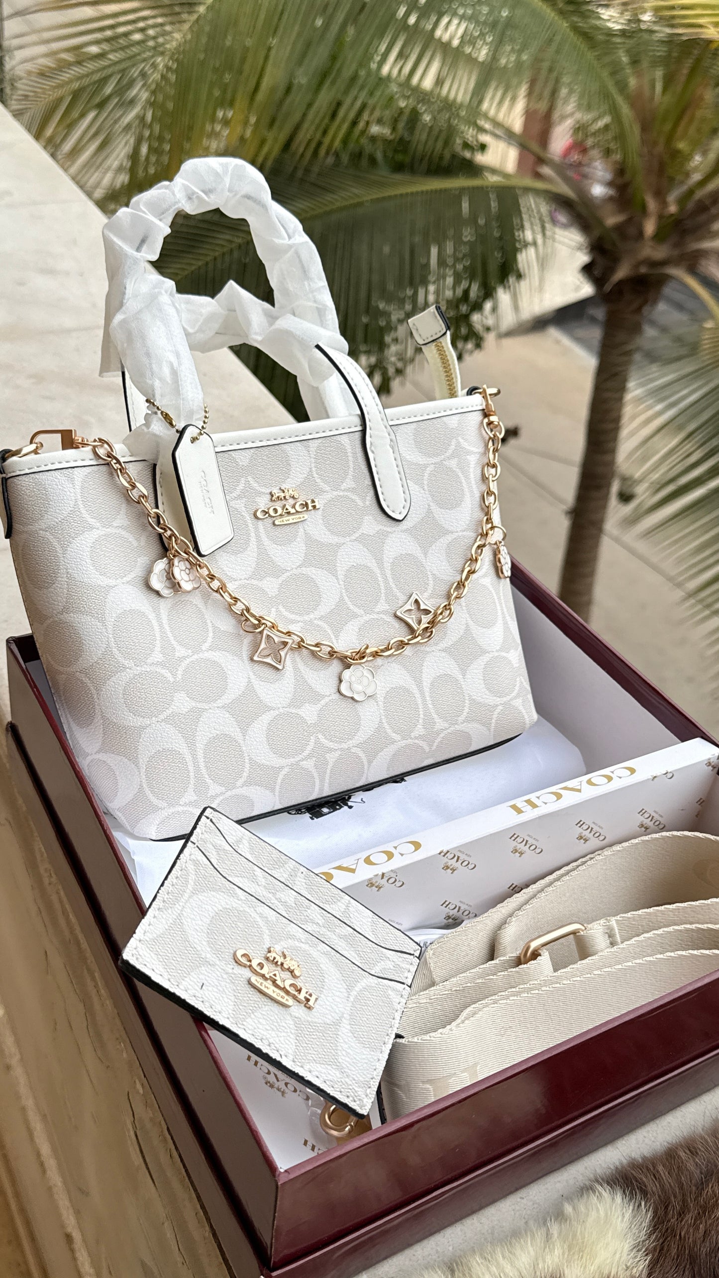 Coach City Mini Tote Bag-With Wallet & Charm Chain-Box Included-Master Plus Series.