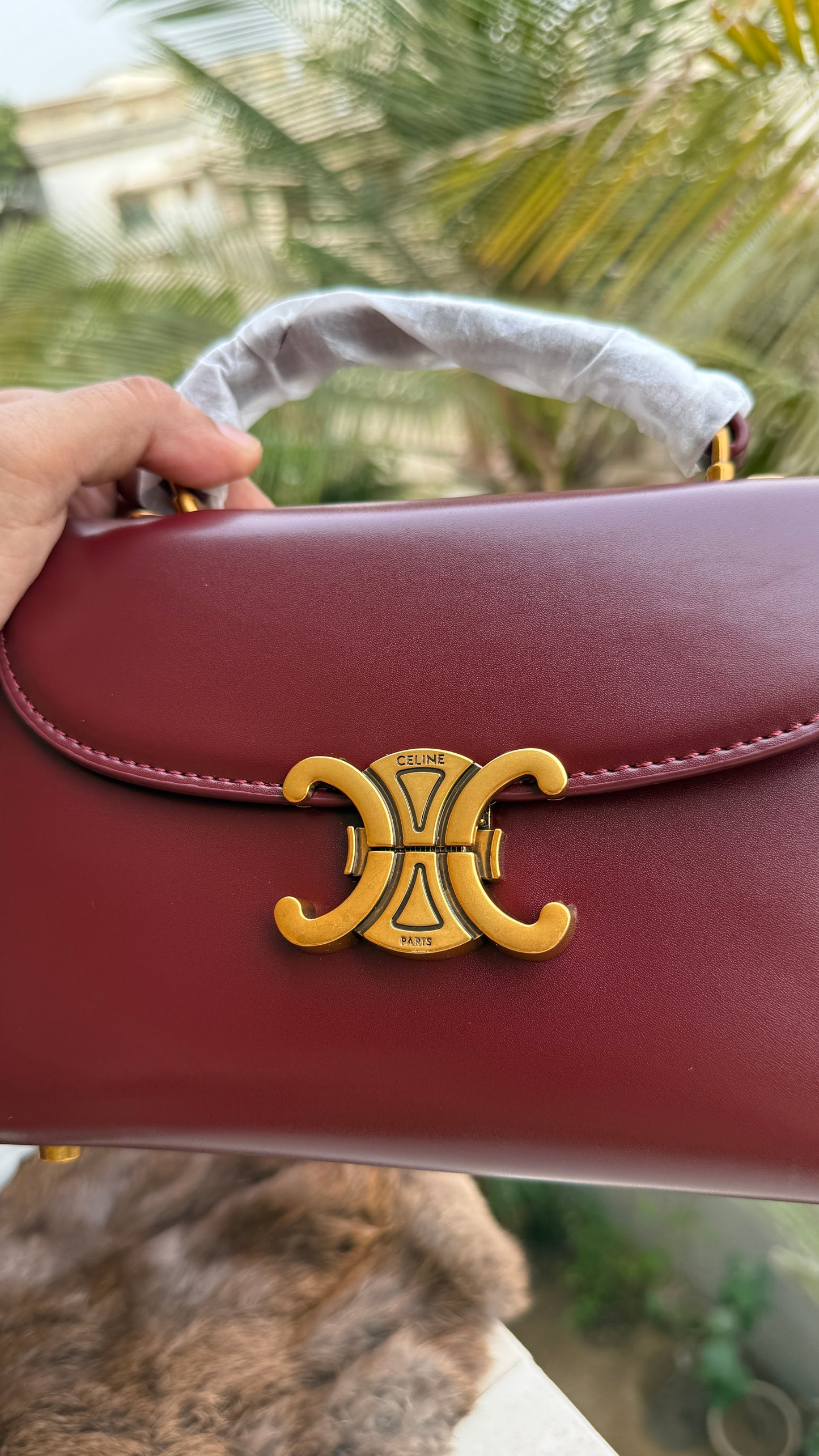 Céline Teen Nino bag-With Box-Master Series