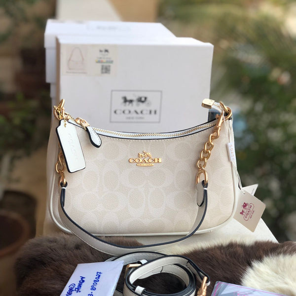 Coach Teri Hobo Bag Master Series