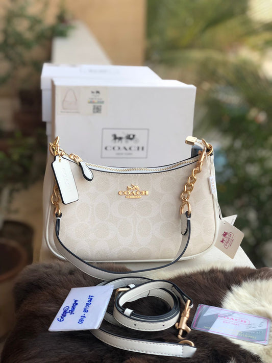 Coach Teri Hobo Bag Master Series