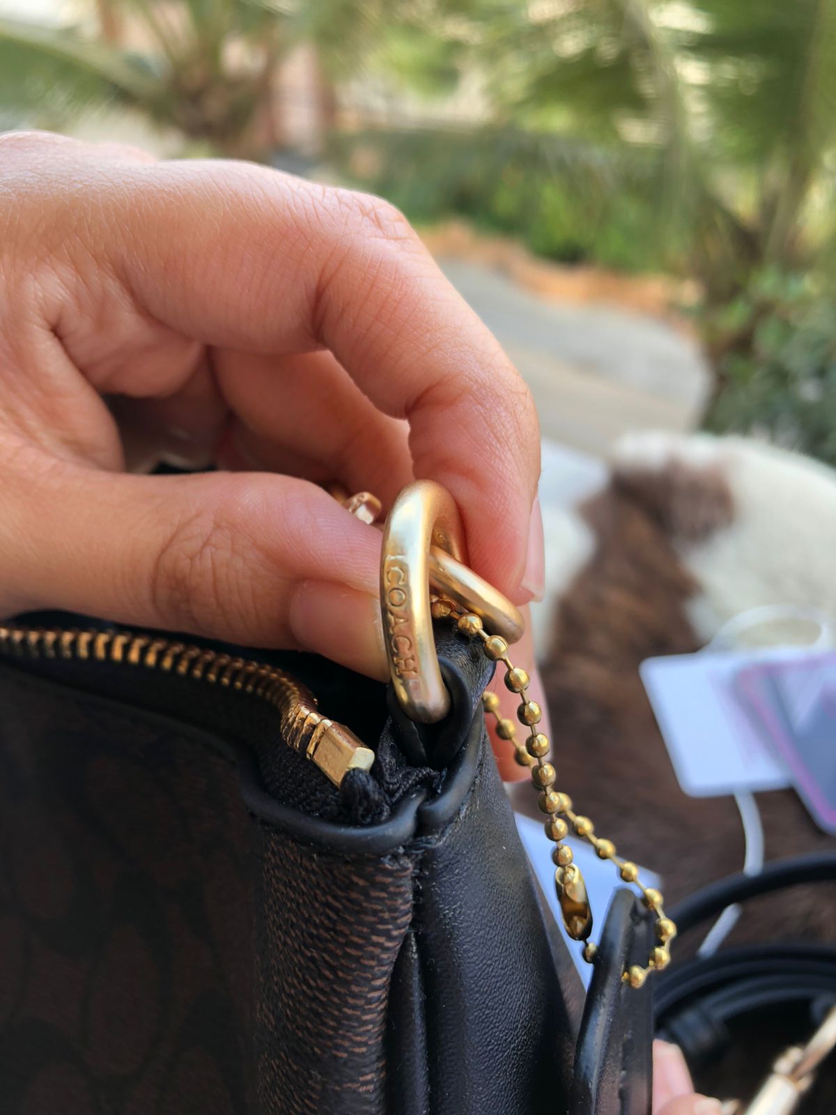 Coach Teri Hobo bag-With box-Master Series